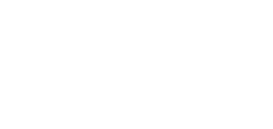 Agile Solutions